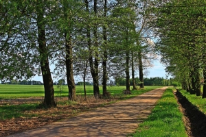 zdjęcie w galerii nr 21