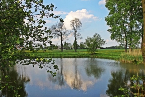 zdjęcie w galerii nr 22