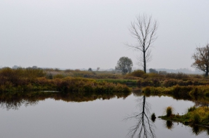 zdjęcie w galerii nr 23