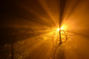 zdjęcie w galerii nr 24