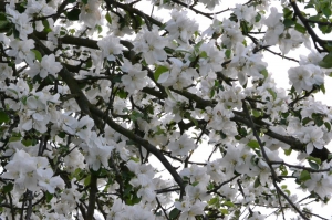 zdjęcie w galerii nr 28