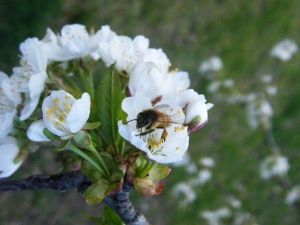 zdjęcie w galerii nr 29