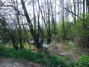 zdjęcie w galerii nr 30