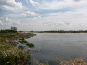 zdjęcie w galerii nr 34