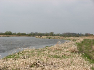 zdjęcie w galerii nr 35