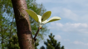 zdjęcie w galerii nr 36