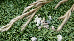 zdjęcie w galerii nr 37