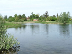 zdjęcie w galerii nr 38