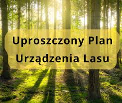 projekt uproszczonych planów urządzenia lasów niestanowiących własność Skarbu Państwa z terenu Gminy