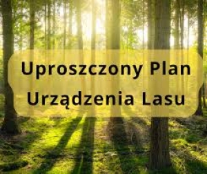 projekt uproszczonych planów urządzenia lasów niestanowiących własność Skarbu Państwa z terenu Gminy